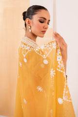 HAZEL WOOD-2PC(SHIRT & DUPATTA)