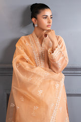 SUBDUED RUST-2 PC (SHIRT & DUPATTA)