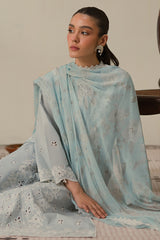 BLUE FLAIR-3 PC CHIKANKARI SUIT