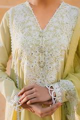 LIME WHISPER-2 PC (SHIRT & DUPATTA)