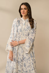 RADIANT POTTERY-2 PC (SHIRT & DUPATTA)