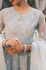 ROYAL GLINT-2PC ORGANZA EMBROIDERED PRET